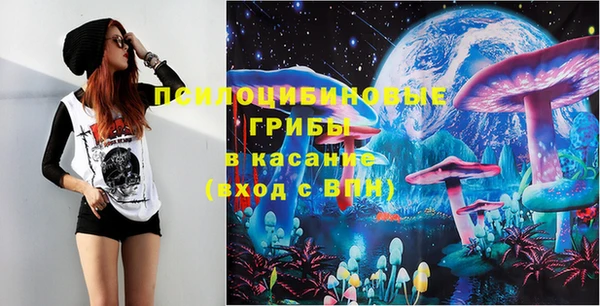 трава Няндома