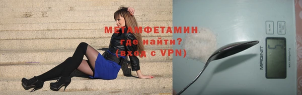 прущие грибы Новодвинск