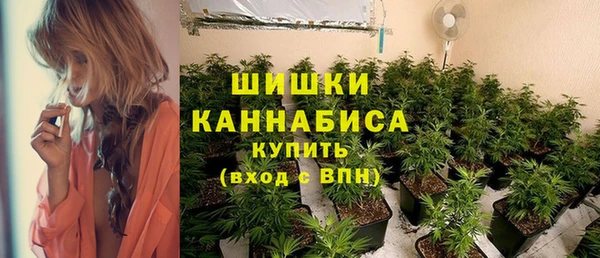 трава Няндома