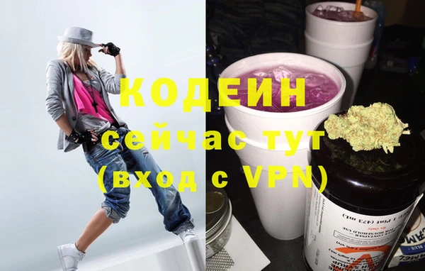 прущие грибы Новодвинск