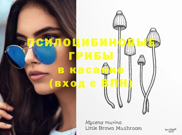трава Няндома