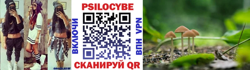 Галлюциногенные грибы мицелий  Лосино-Петровский 