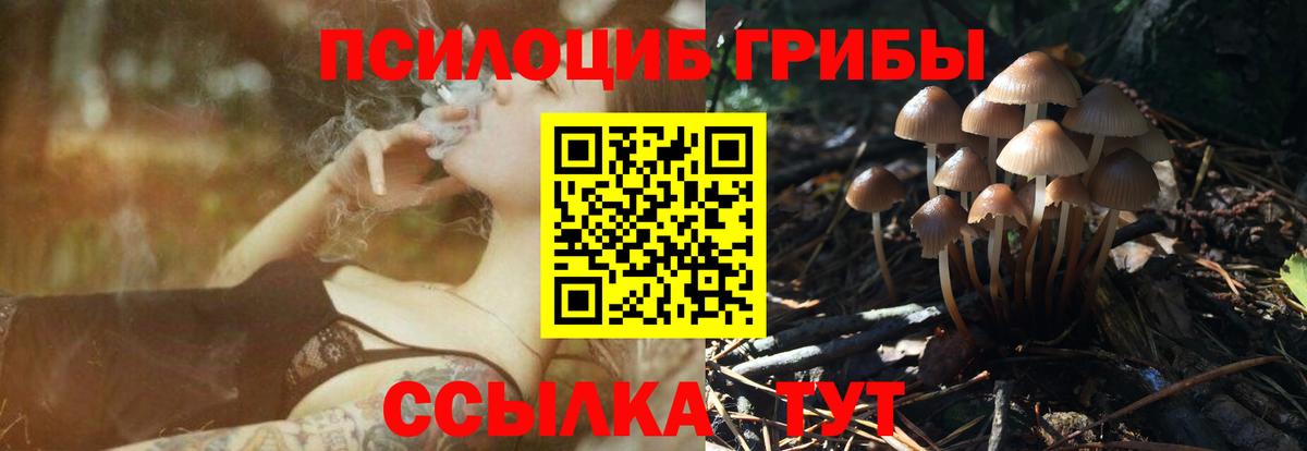 Псилоцибиновые грибы Psilocybe  Вход с VPN  Лосино-Петровский 